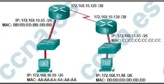 CCNA1 v6 Examen Final Opción A Español